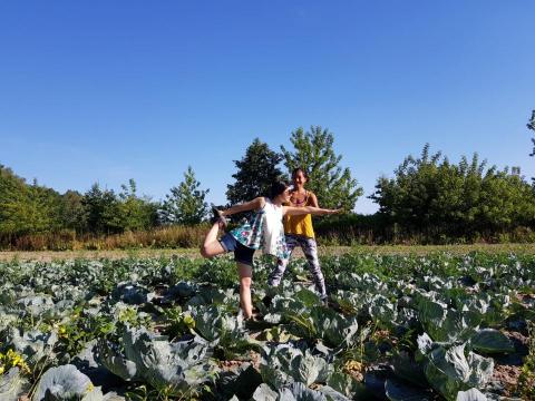 Sima 瑜珈療癒師 / 線上一對一 - Outdoor Private Yoga Class 戶外瑜珈私人課