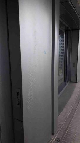 蔡佩蓉 - 門扇美容施工前