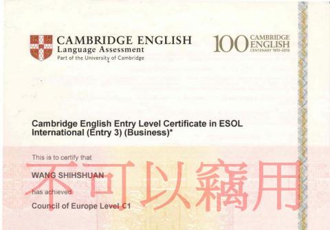 Irene Wang - 劍橋商務英文