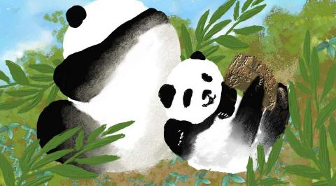 徐小姐 - 插畫 徐小姐 - 插畫