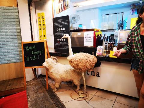 喵帝工作室 - 實體店洽談