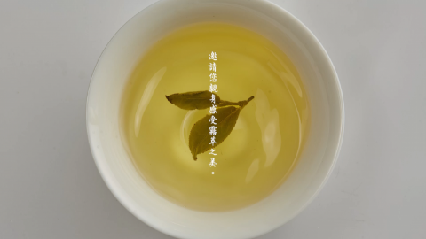 傑森不是史塔森｜影像創作 - 公司形象、產品廣告、短片製作、微電影製作。
歡迎直接來信洽談：
賴：零九七二一三零八四二
IG：jasonwedding.film
感謝您唷！