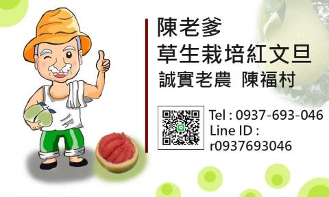 logo, DM, 去背，人物繪圖 - 