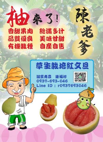 logo, DM, 去背，人物繪圖 - 