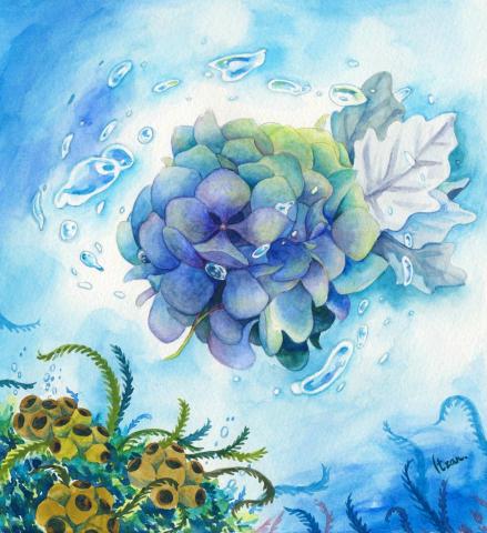 itzan - 水彩插畫