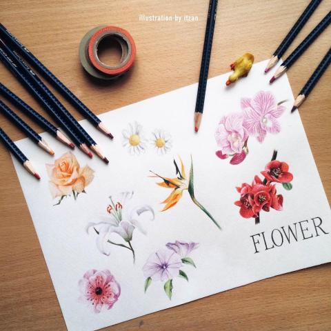itzan - 素材插畫繪製-色鉛筆