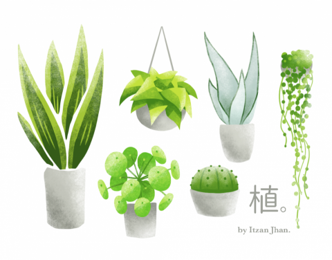 itzan - photoshop插畫