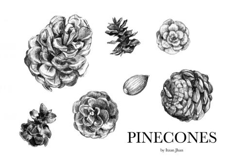 itzan - 素材插畫繪製-素描