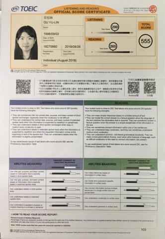 國中家教(專業科目、伴讀) - 大學多益成績