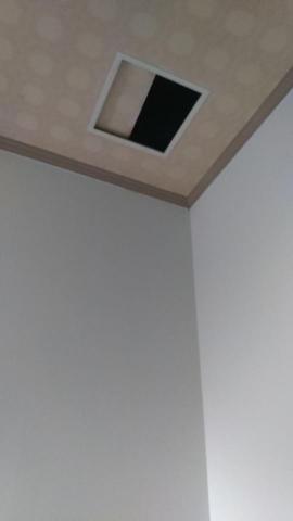 鄧家純 - 被強風吹起前!!!