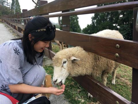 提供數學教學服務的專家Vicky