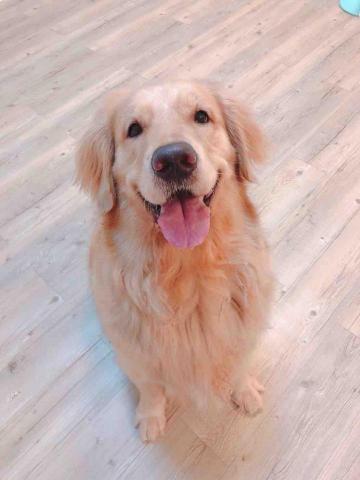 提供130服務的專家Amy Chang