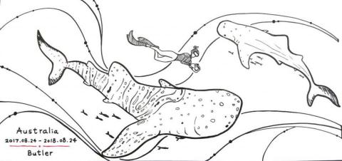 mg - 手繪明信片-代針筆