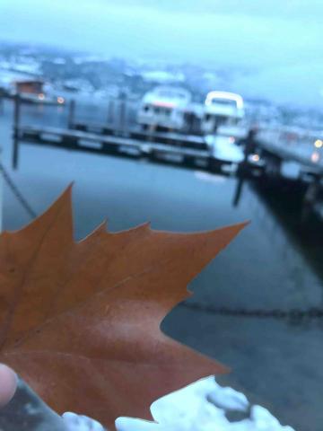 提供唱歌服務的專家呂曉雯