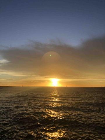 提供n2服務的專家陳曉潔