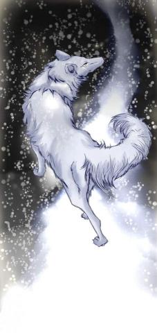 武君 - 雪地白狼