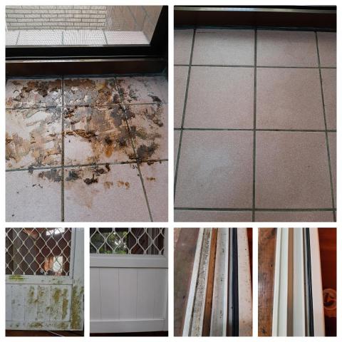 絨絨 潔淨家空間細緻  清潔社 - 局部垢 絨絨 潔淨家空間細緻  清潔社 - 局部垢