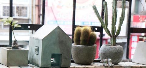 LINKIN - 植物會語 LINKIN - 植物會語