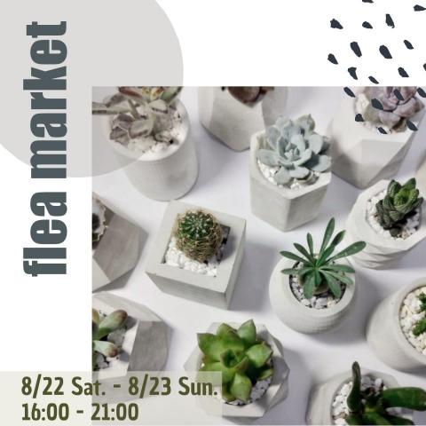 Shu - ig 宣傳照片