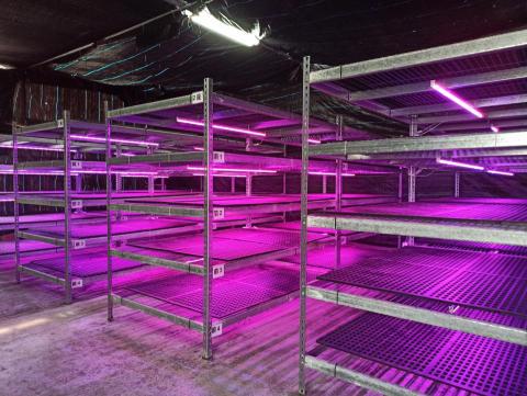 世鉅工程行-水電、鐵工、鋼構、冷氣、木工、泥作、地板、輕鋼架 - 