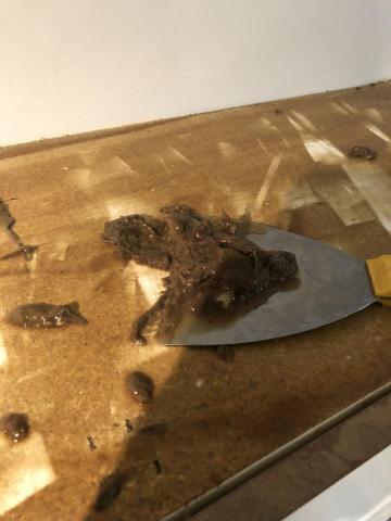 上進清年 雍洁有限公司 - 驚!!! 廚櫃上方厚重油垢