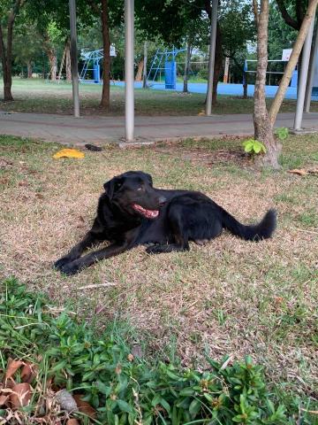 提供acecpt高雄服務的專家陳芃廷