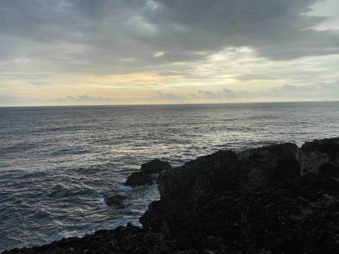 提供背景音樂服務的專家劉宛儒