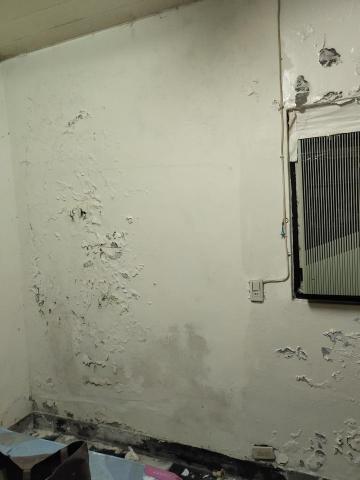 漆得麗 -  漆得麗 -