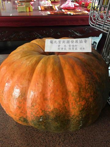 張智淞 張智淞