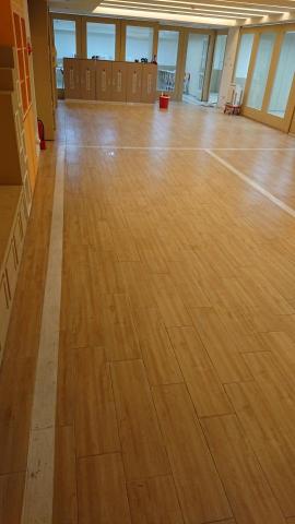 張采彙 - 除膠後