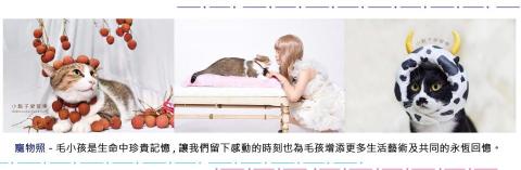 影藝攝影/許啟川 - 影藝攝影-高雄西子灣知名照相館-寵物攝影毛小孩 影藝攝影/許啟川 - 影藝攝影-高雄西子灣知名照相館-寵物攝影毛小孩