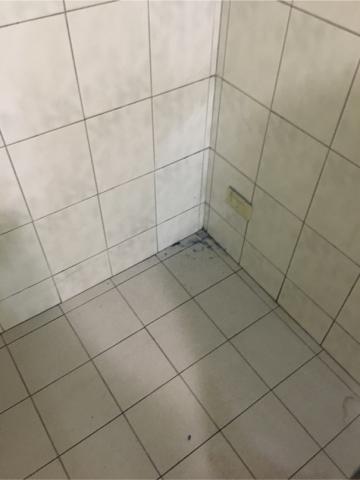 楊喬媜 -  打掃前