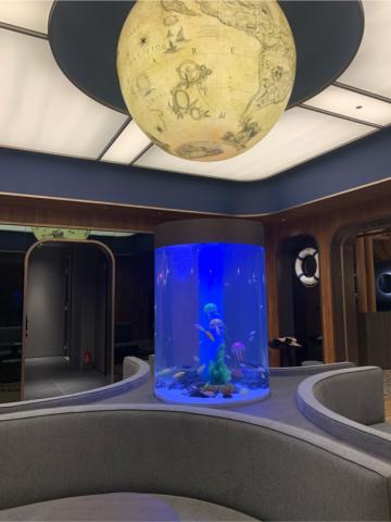 頂極水族工程有限公司 TAE - 國泰世華集團-慈鯛展示缸