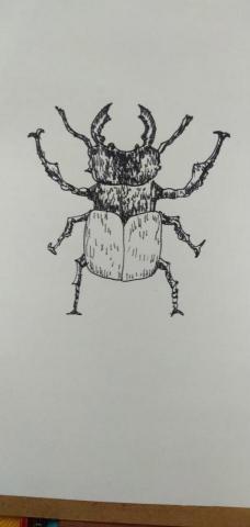 郭思宏 - 畫甲蟲簽字筆