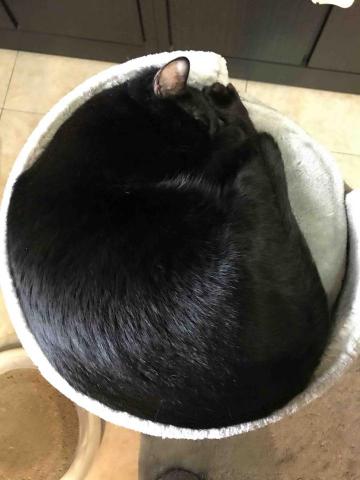 提供soho服務的專家廖品宣