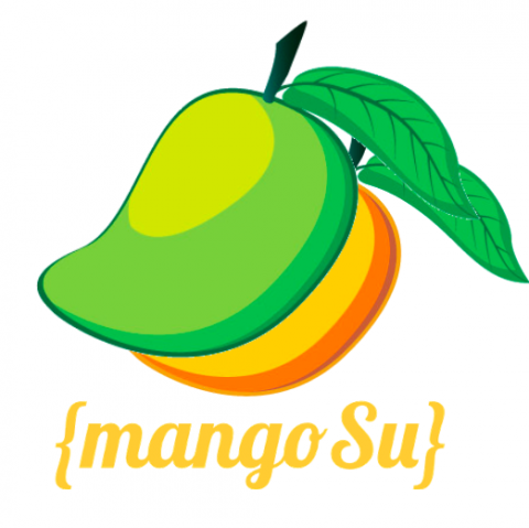 提供erp服務的專家mango