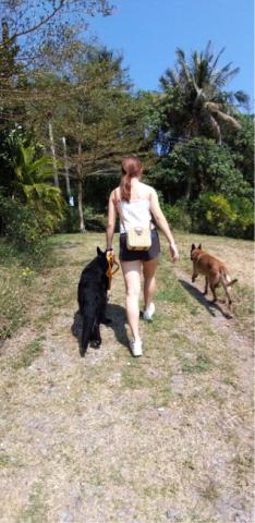 林暐勳 - 散步訓練