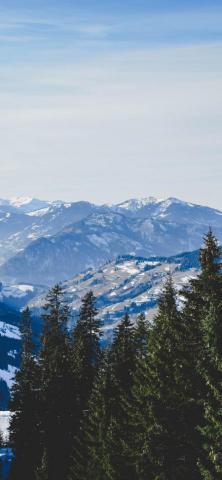 提供韓語服務的專家茹汝