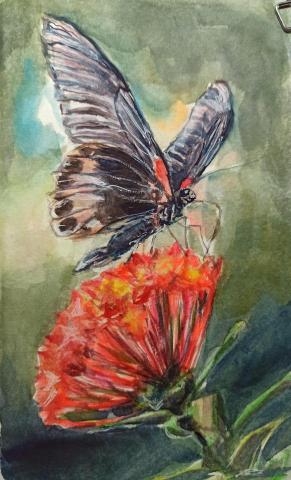 靈果繪畫工作室 - 水彩花卉