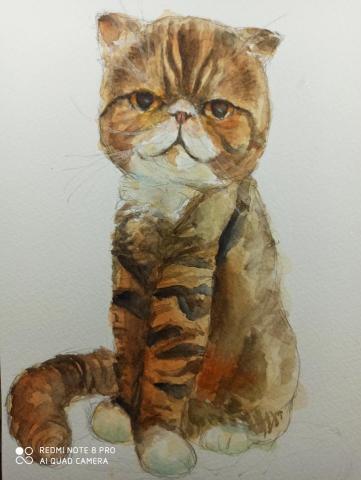 靈果繪畫工作室 - 委託寵物肖像