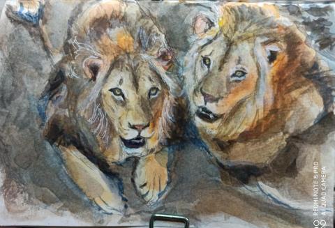 靈果繪畫工作室 - 水彩動物