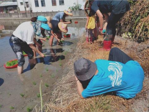 東隅工作室 - 艾上大原哈克庄-插秧趣 活動攝影