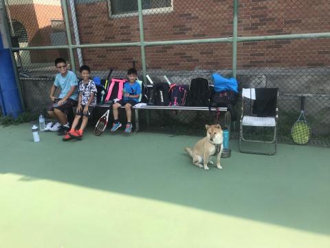 Lee網球教學🎾 - 
