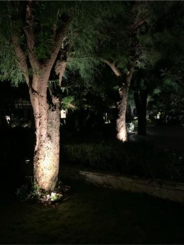 興麟水電有限公司 - 景觀燈設置