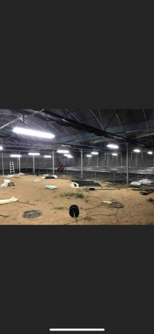 興麟水電有限公司 - 溫室燈飾裝置