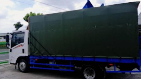 豆豆龍專業配送 - 不怕日曬雨林