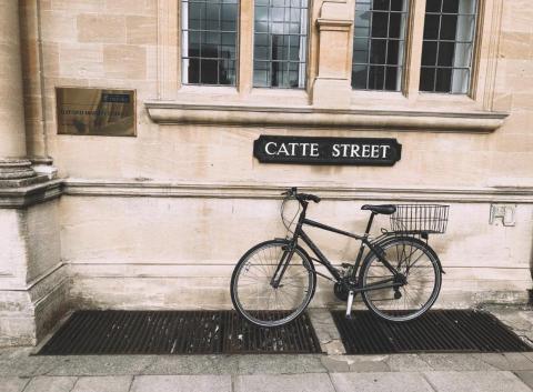 Daisy-陽光影像工作室 -  Daisy-陽光影像工作室 -