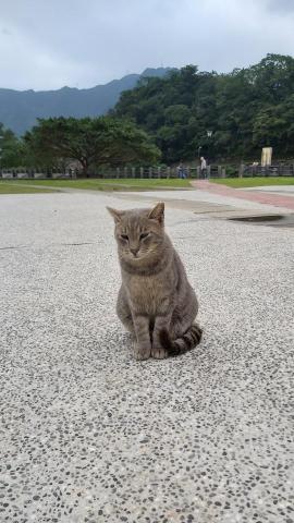 提供應徵服務的專家豪