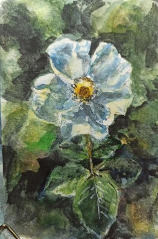 靈果繪畫工作室 - 水彩花卉