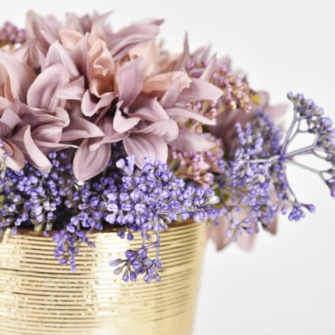 TS - AINI - 商品細節圖